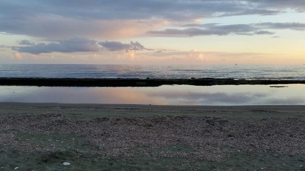 Olosuites Limasol Dış mekan fotoğraf